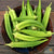 Okra Seeds- Clemson Spineless 80 - Sow True Seed