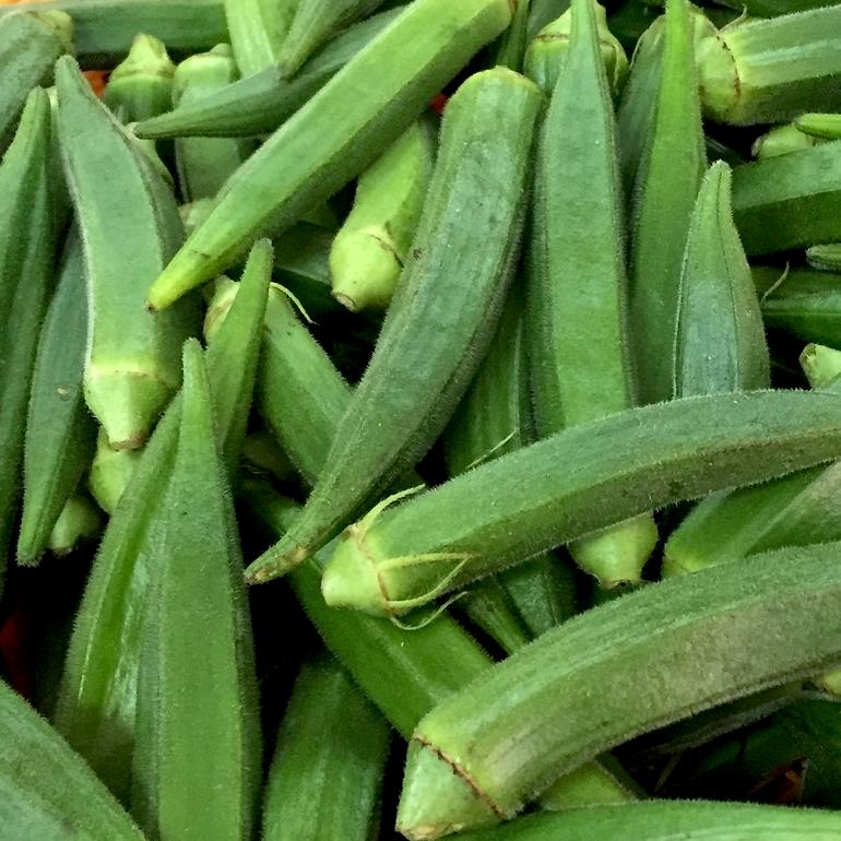 TKE Farms-Clemson Spineless Okra Seeds For Planting, 6