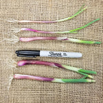Onion Starts - Red Creole Heirloom - Sow True Seed