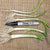 Onion Starts - Texas Early White Heirloom - Sow True Seed