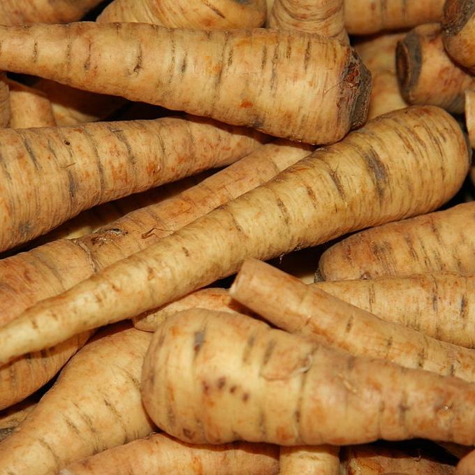 Parsnip - Harris Model - Sow True Seed