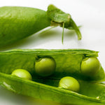 Shelling Pea - Green Arrow - Sow True Seed