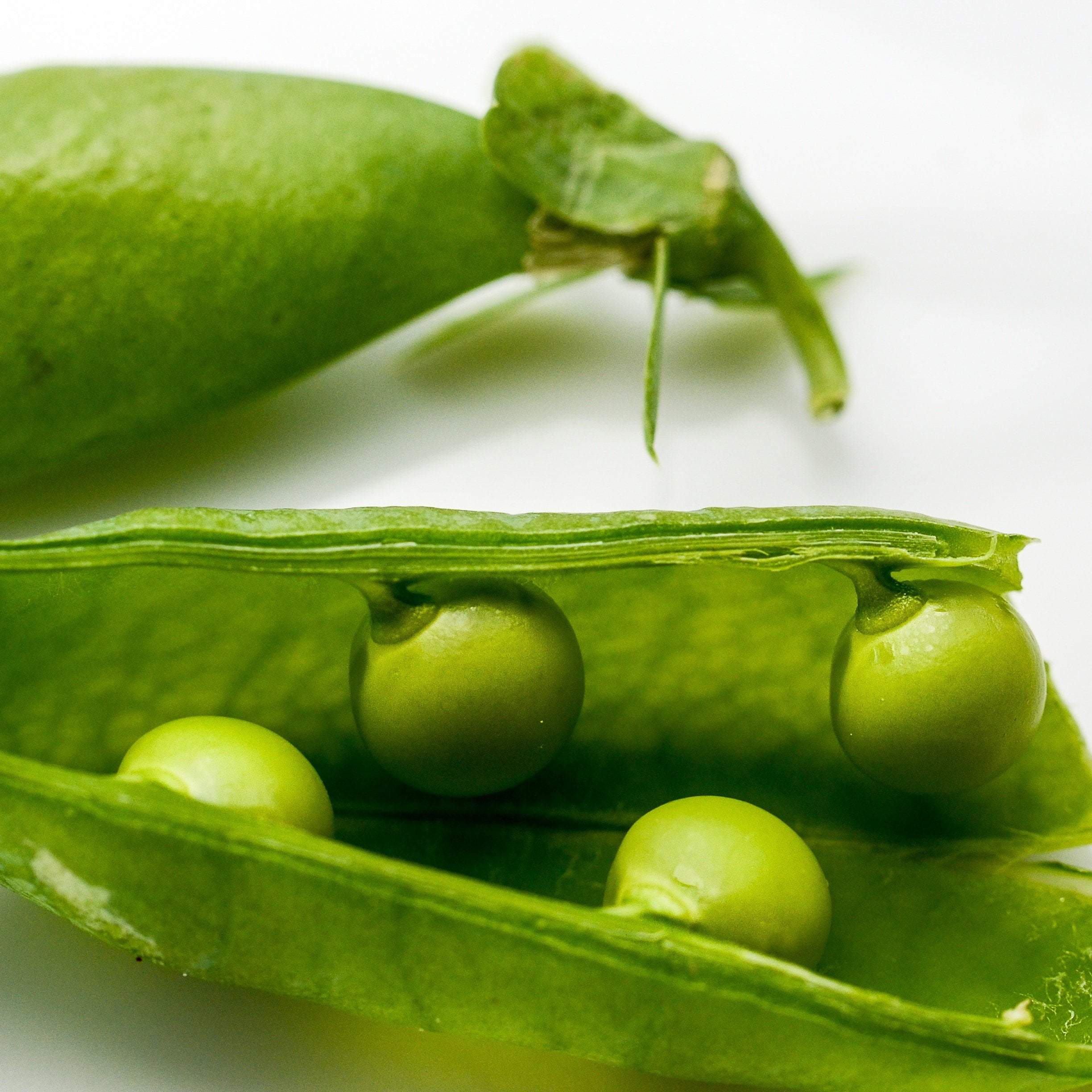 Shelling Pea - Green Arrow - Sow True Seed