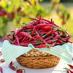 Hot Pepper - Cayenne Long Red Thin - Sow True Seed
