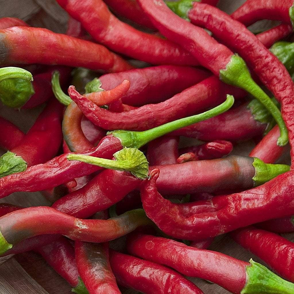 Hot Pepper Seeds - Cayenne Long Red Thin | Sow True Seed