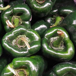 Hot Pepper - Poblano - Sow True Seed