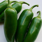 Hot Pepper - Early Jalapeño - Sow True Seed