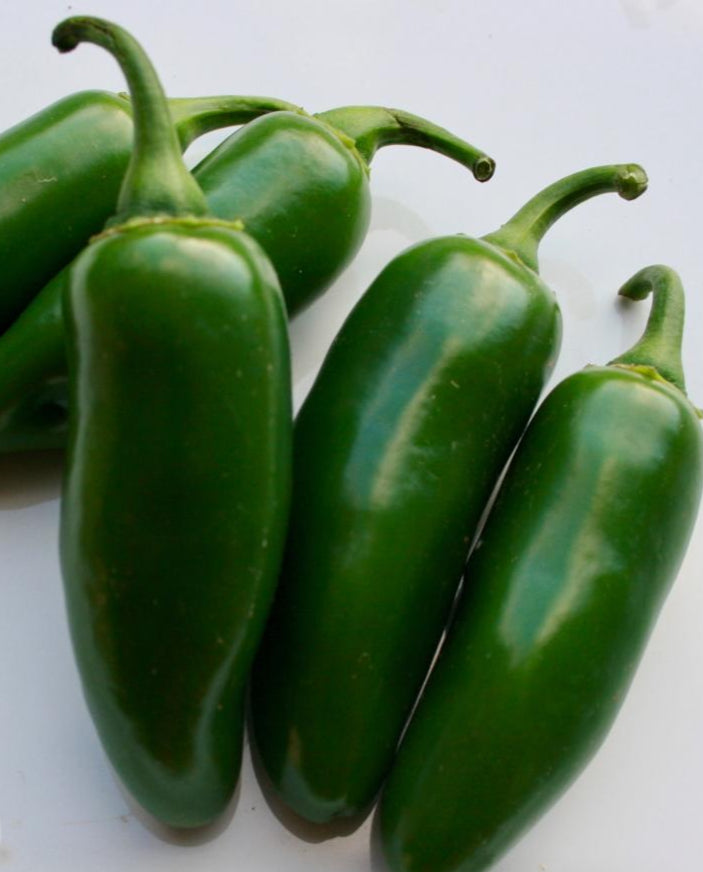 Hot Pepper - Early Jalapeño - Sow True Seed