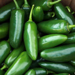 Hot Pepper - Early Jalapeño - Sow True Seed