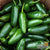 Hot Pepper - Early Jalapeño - Sow True Seed