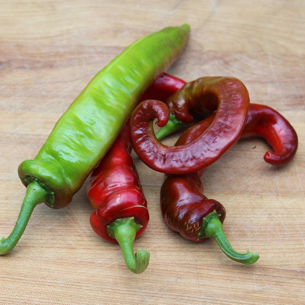 Sweet Pepper Seeds - Jimmy Nardello - Sow True Seed