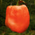 Sweet Pepper Seeds - Orange King - Sow True Seed