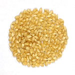 Flint Corn Seeds - Japanese White Hulless Popcorn - Sow True Seed