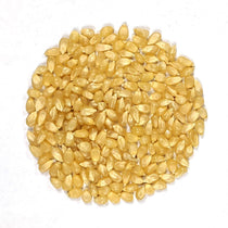 Flint Corn Seeds - Japanese White Hulless Popcorn - Sow True Seed