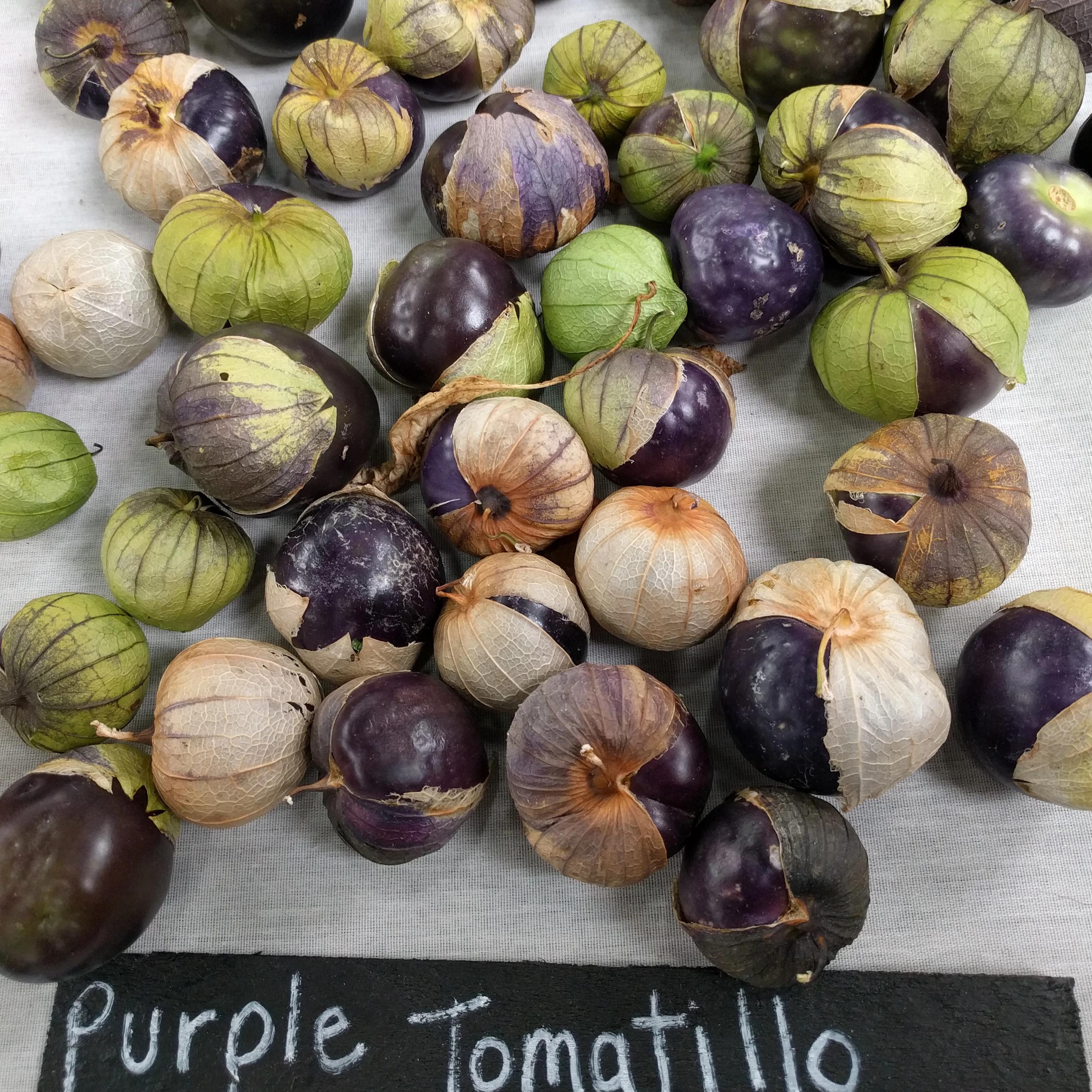plant tomatillo seeds Tomatillo Seeds