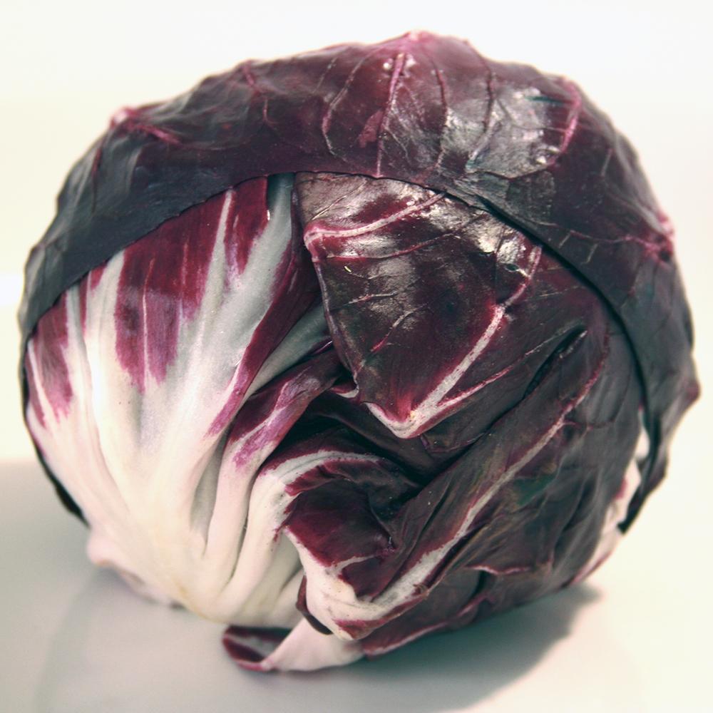 Radicchio - Rossa Di Verona - Sow True Seed