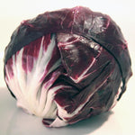 Radicchio - Rossa Di Verona - Sow True Seed
