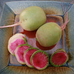 Radish Seeds - Watermelon - Sow True Seed