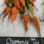 Carrot Seeds - Red Core Chantenay - Sow True Seed