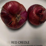 Onion Starts - Red Creole Heirloom - Sow True Seed
