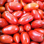 Paste Tomato Seeds - San Marzano - Sow True Seed