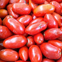 Paste Tomato Seeds - San Marzano - Sow True Seed