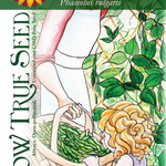 Half Runner Bean Seeds - Mountaineer White - Sow True Seed