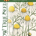 Chamomile Seeds, German - Sow True Seed