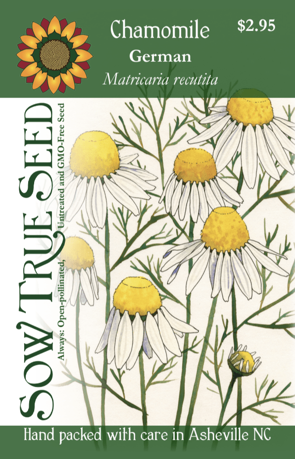 Chamomile Seeds, German - Sow True Seed