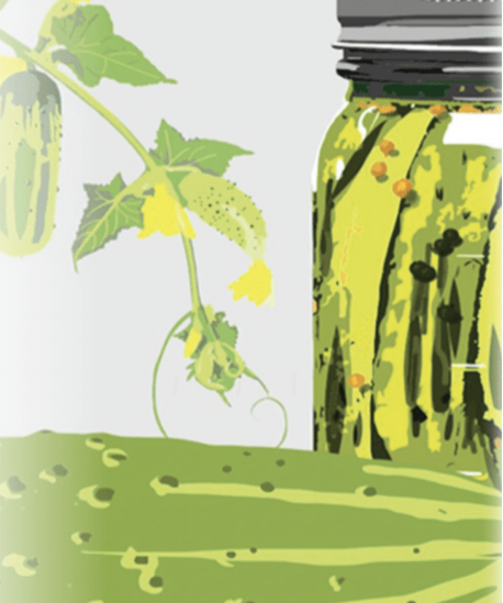 Pickling Cucumber Seeds - Boston - Sow True Seed