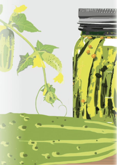 Pickling Cucumber Seeds - Boston - Sow True Seed