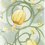 Specialty Cucumber Seeds - Lemon - Sow True Seed