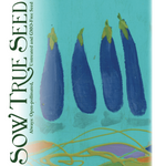 Eggplant Seeds - Long Purple - Sow True Seed