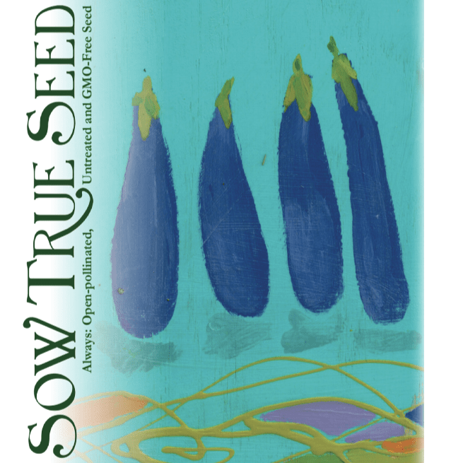 Eggplant Seeds - Long Purple - Sow True Seed