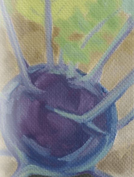 Kohlrabi Seeds - Purple Vienna - Sow True Seed