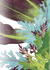 Mixed Greens Seeds - Spicy Mesclun Mix - Sow True Seed