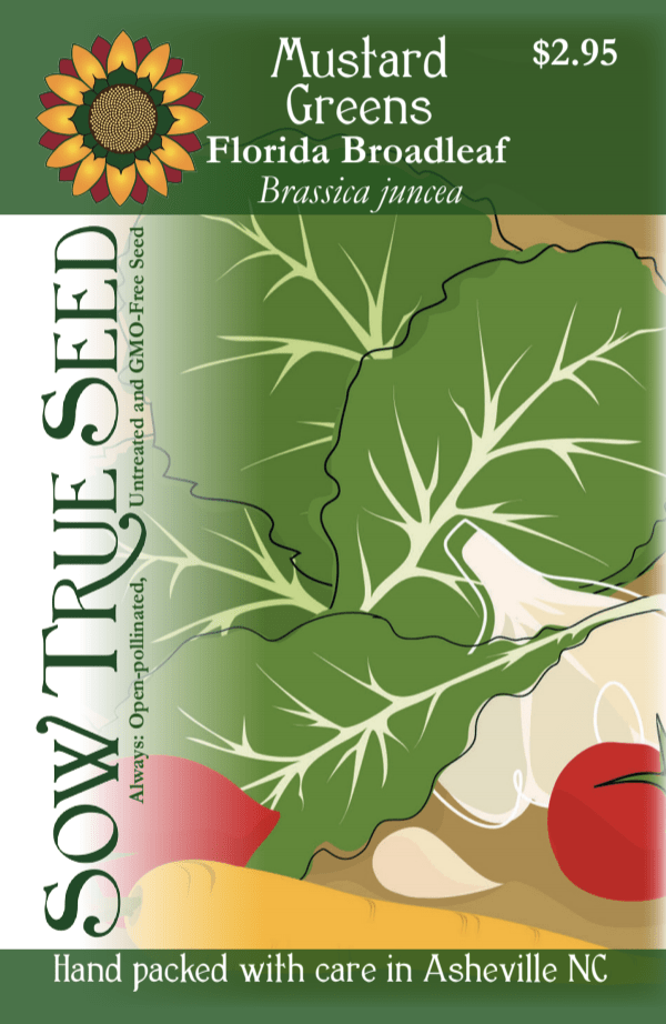 Florida Broad Leaf Mustard Greens - Victory Seeds® – Victory Seed Company