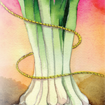 Bunching Onion Seeds - Long White Bunching - Sow True Seed