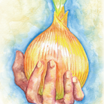 Onion Seeds - Walla-Walla Sweet Spanish - Sow True Seed