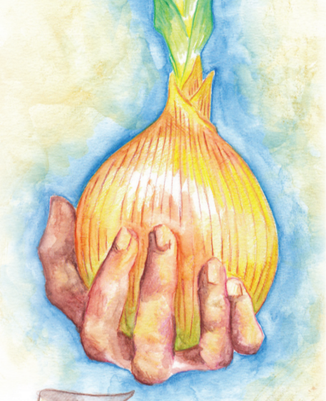 Onion Seeds - Walla-Walla Sweet Spanish - Sow True Seed
