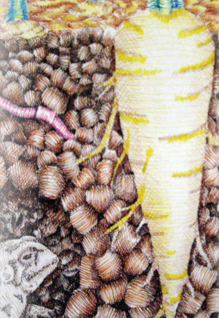 Parsnip Seeds - Hollow Crown - Sow True Seed