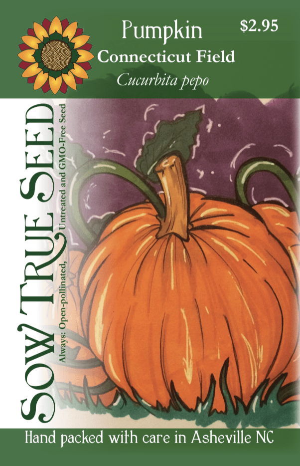 Pumpkin Seeds Connecticut Field Sow True Seed