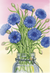 Bachelor Button Seeds - Tall Blue - Sow True Seed