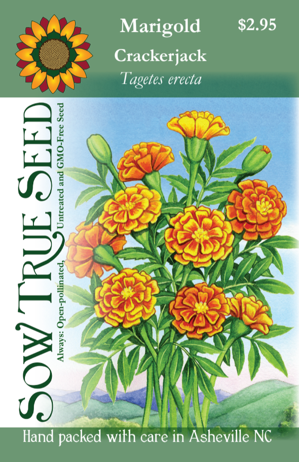 Marigold Seeds Crackerjack Sow True Seed