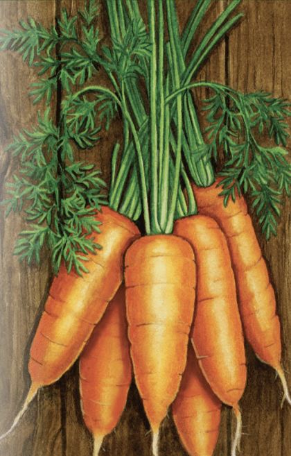 Carrot Seeds - Shin Kuroda - Sow True Seed