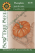 Pumpkin Seeds - Jack-B-Little - Sow True Seed