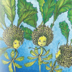 Broccoli Raab Seeds - Spring Rapini, ORGANIC - Sow True Seed