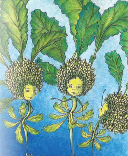 Broccoli Raab Seeds - Spring Rapini, ORGANIC - Sow True Seed
