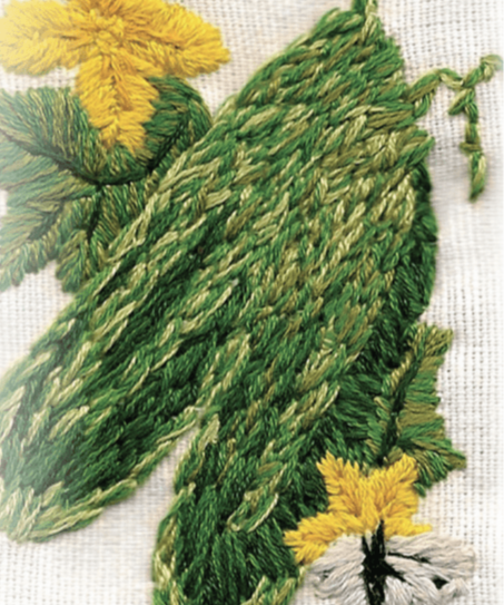 Slicing Cucumber Seeds - Muncher, ORGANIC - Sow True Seed