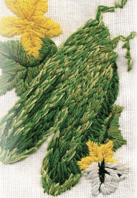 Slicing Cucumber Seeds - Muncher, ORGANIC - Sow True Seed